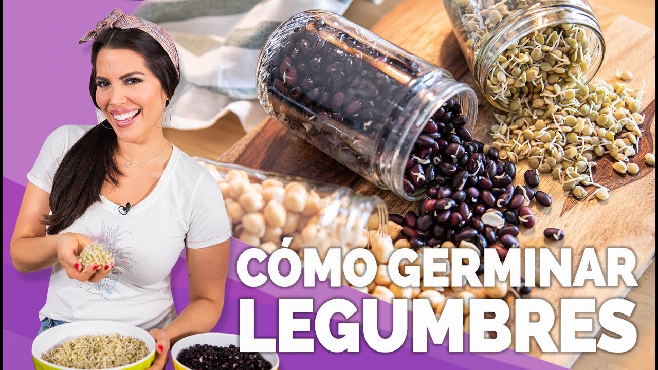 GERMINAR LEGUMBRES | Jacquie Marquez