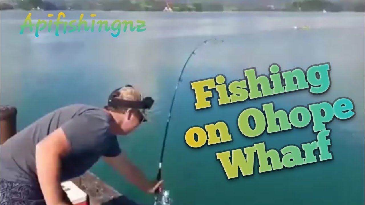 Ohope Wharf Fishing (Part 1) Catching  Trevally