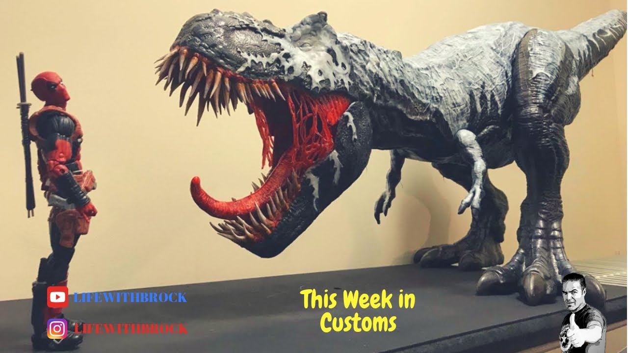 This Week in Customs | Episode 24