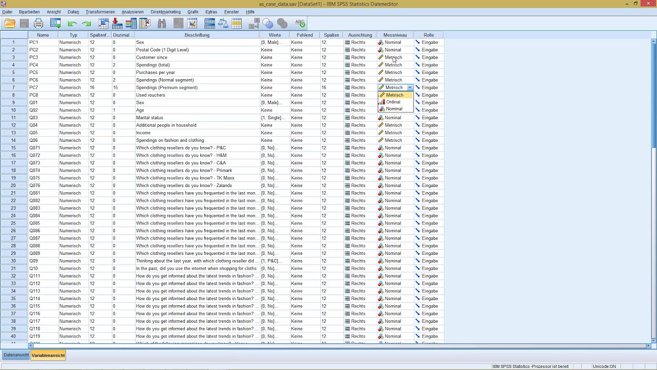 SPSS - Programmoberfl&auml;che und Variablenansicht