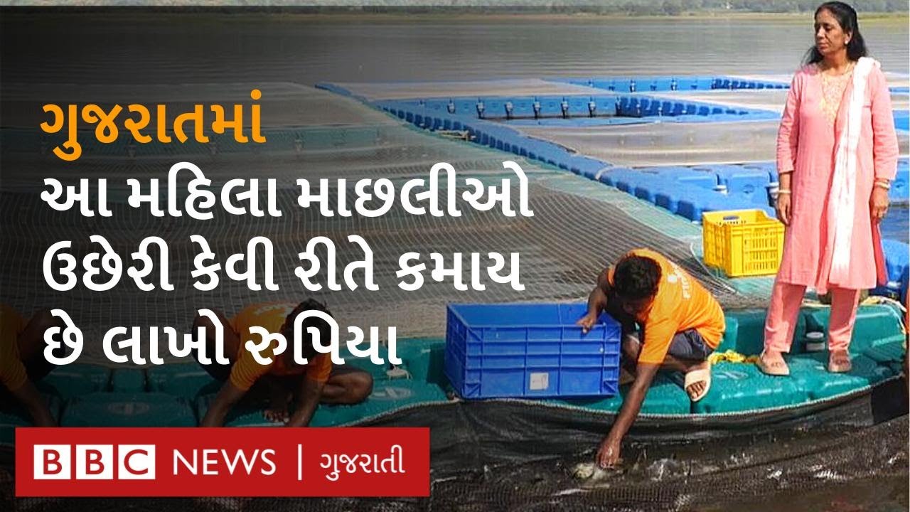 This woman in Aravalli earns money by turning saltwater fish into freshwater fish.