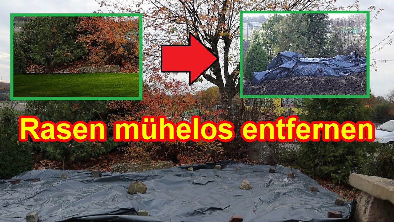 Rasen / Grasnarbe entfernen durch Abdecken mit Folie &ndash; Rasen OHNE Chemie & umgraben vernichten