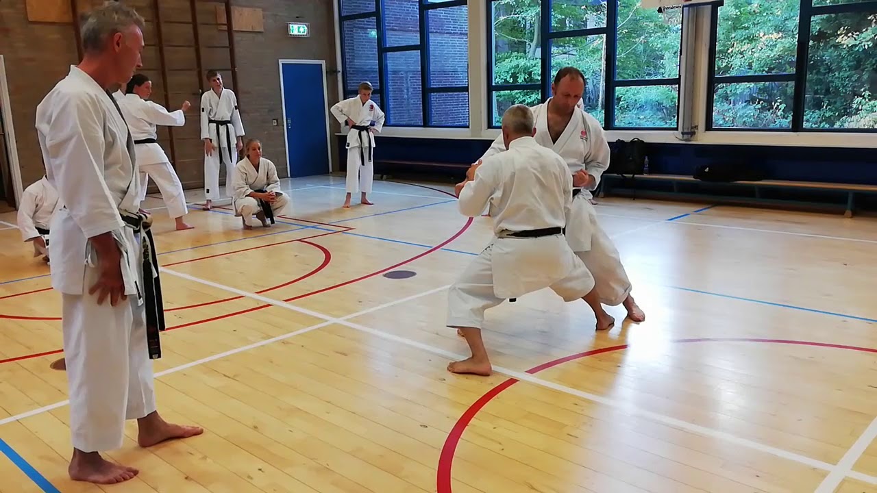 Bunkai Kankudai Pascal Lecourt Sensei okt 2018