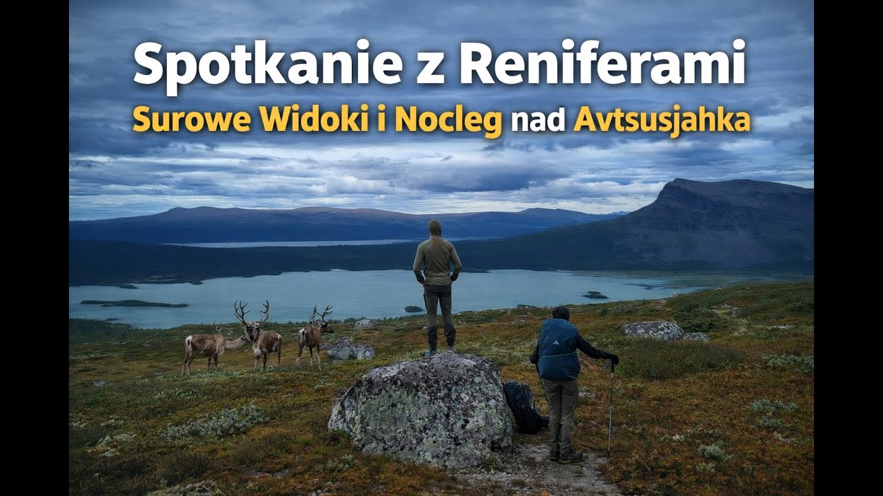 Kungsleden dzień #11: Spotkanie z Reniferami, Surowe Widoki i Nocleg nad Avtsusjjahka 🌄