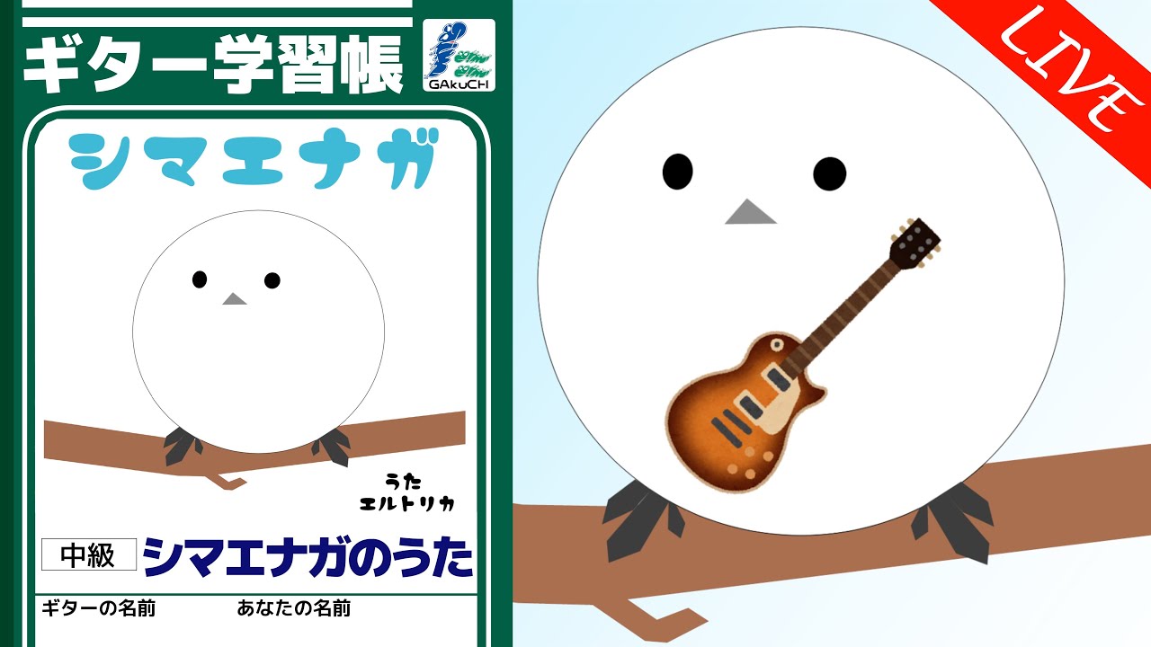 【シマエナガの日】シマエナガのうたを弾きます⎛˶• ▴ • ˶ ⎞🎸