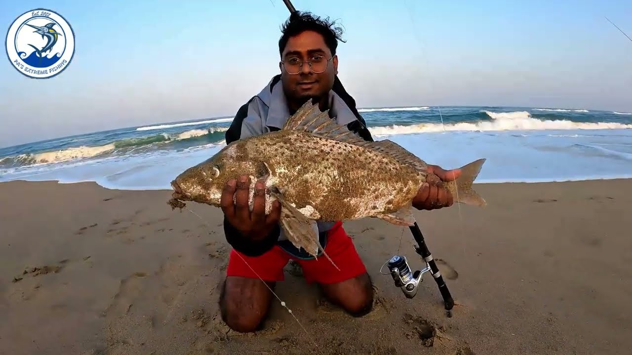 Big Grunter and Natal Stumpnose caught on the South Coast in winter.