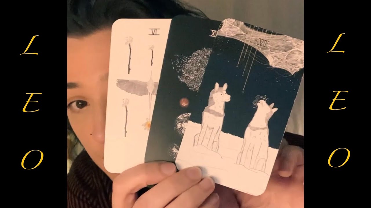 Leo // Using Your Skills To Push Through Limiting Mindsets. Strategic Creations. Working Together.