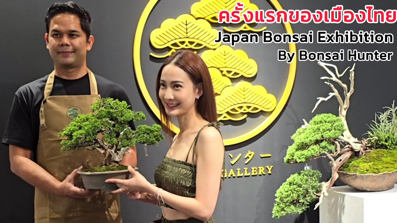 Впервые в Таиланде Bonsai Hunter собрал японские бонсаи возрастом более двух тысяч лет. Приезжайт...