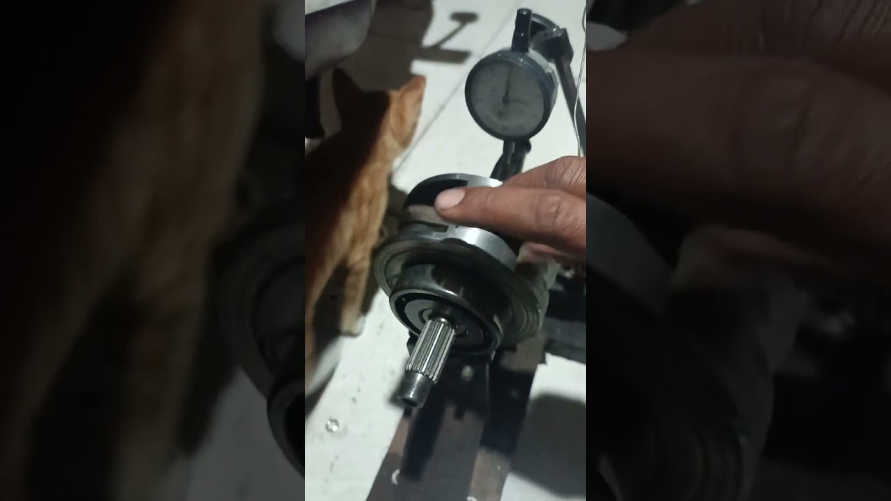 bandul kruk as tiger setelah tambah daging jadi lemes