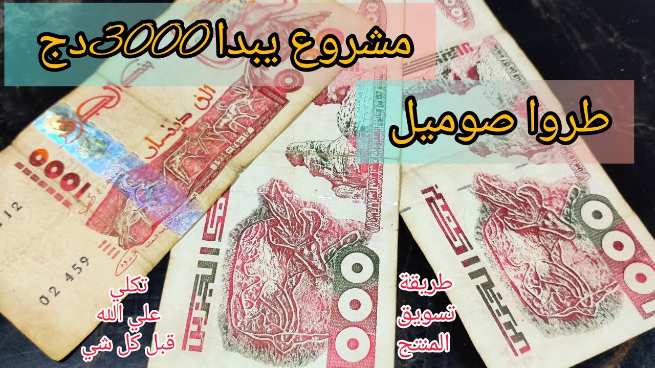 مزلتي تخمي  جبتلك مشروع غير طروا صوميل، 3000دج شوفي مشروع وخمي مليح فيه