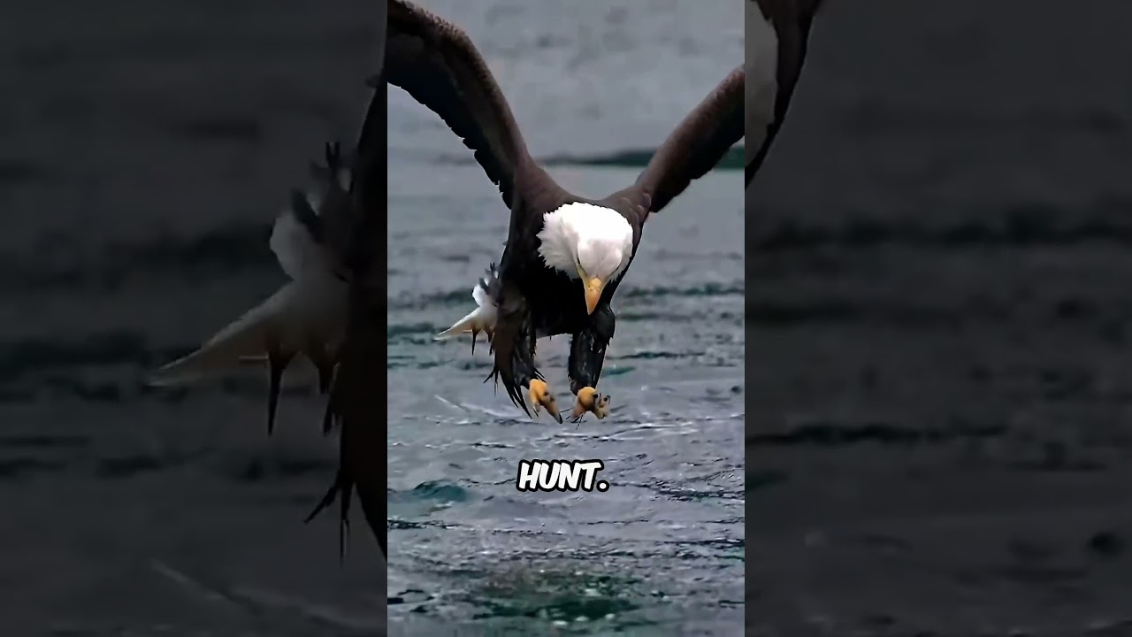 5 Animals That Are Literally Playing Life on Easy Mode #Animals #AnimalFacts