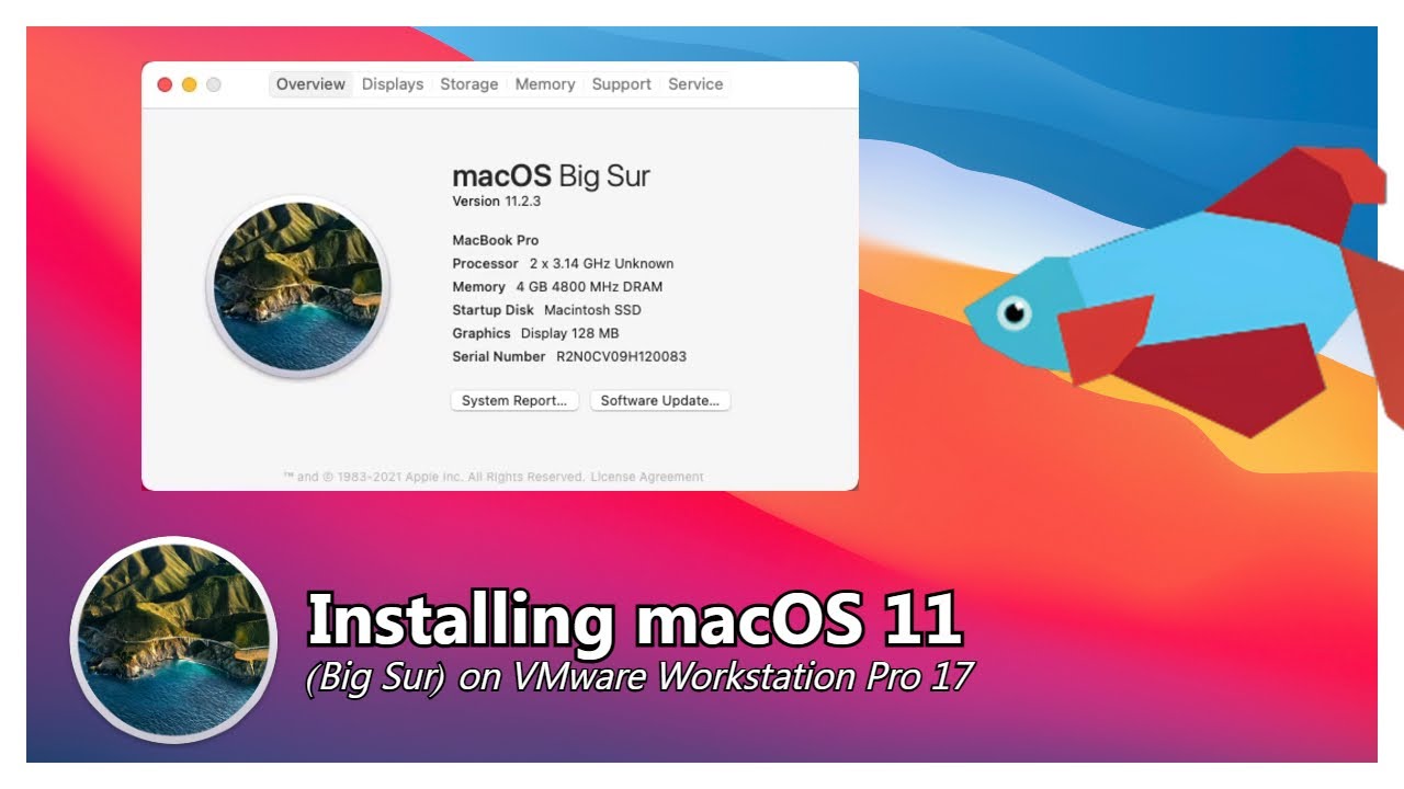 Installing macOS 11 Big Sur on VMware Workstation Pro 17