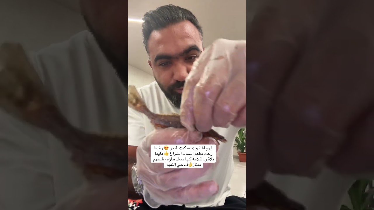 السيجان بسكوت البحر
