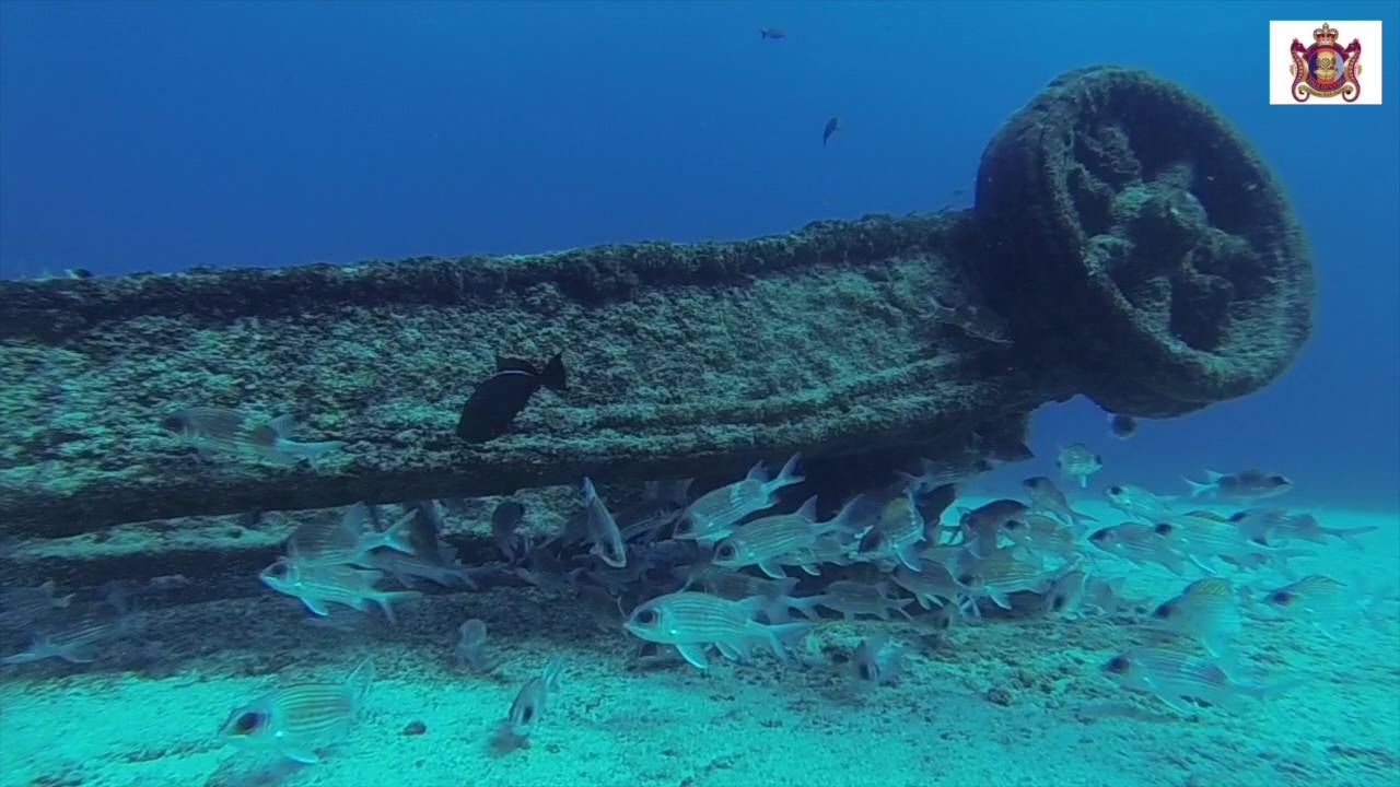 Ascension Island Diving