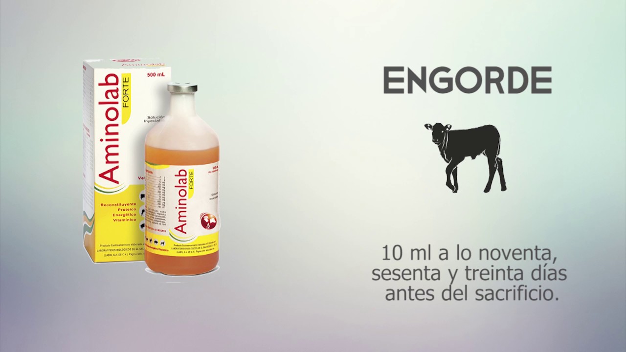 AMINOLAB FORTE - Red Comercial LABIS Latinoamérica