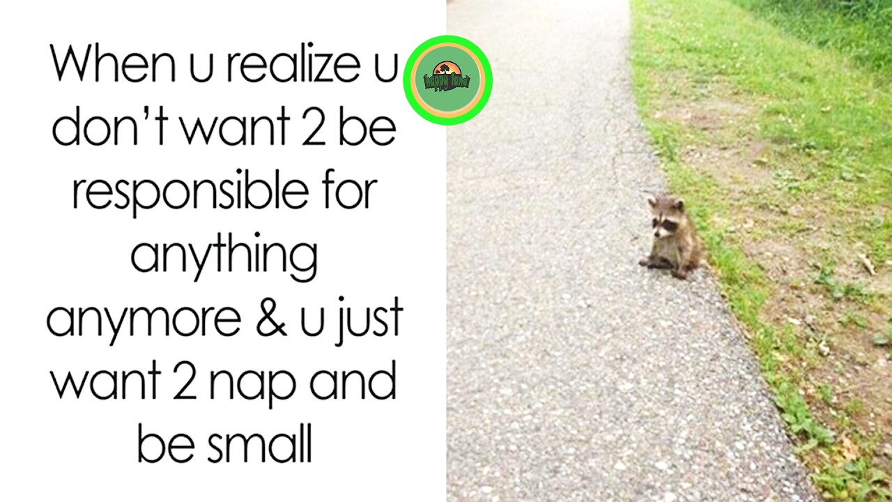 Random Funny Posts From the Internet That Will Make You Smile