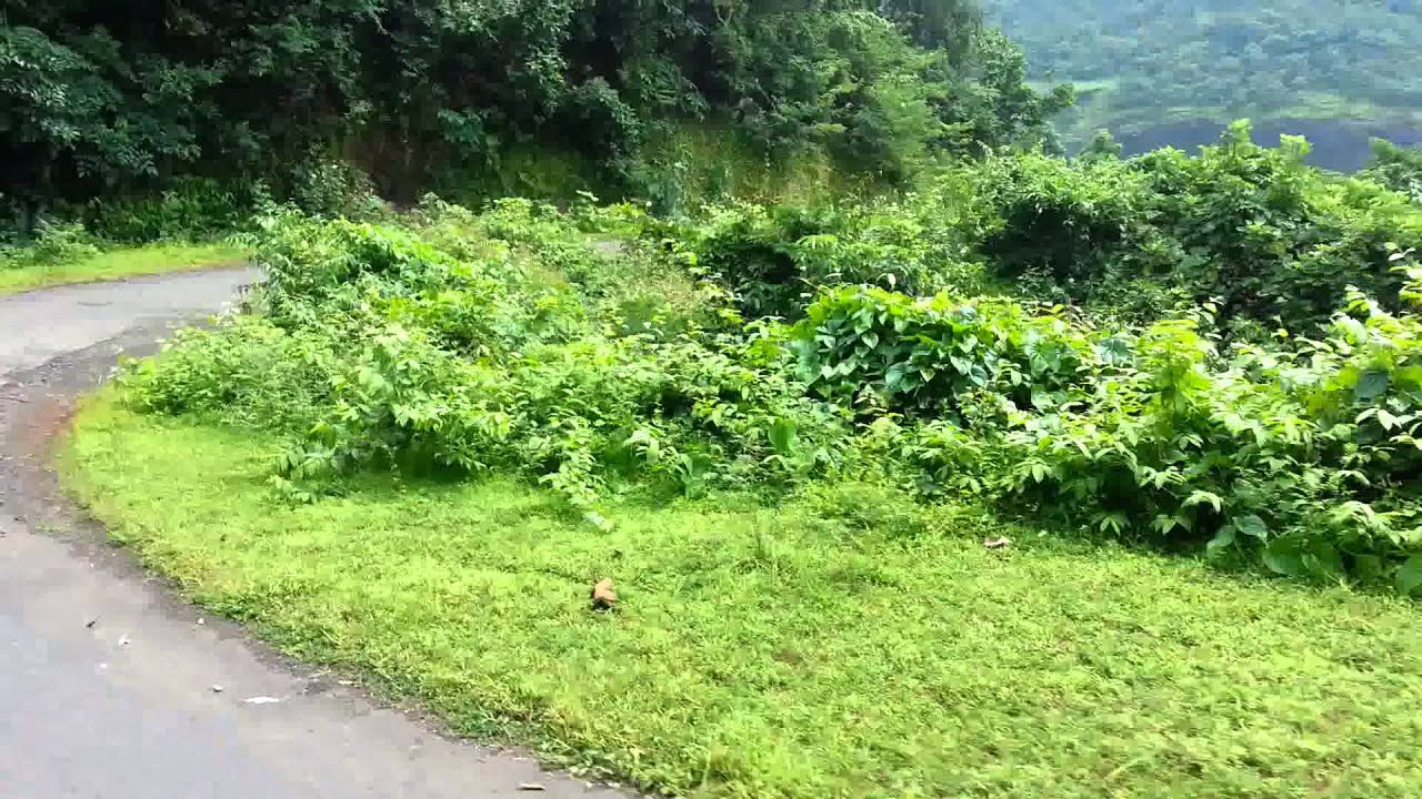 PANDERI ROAD