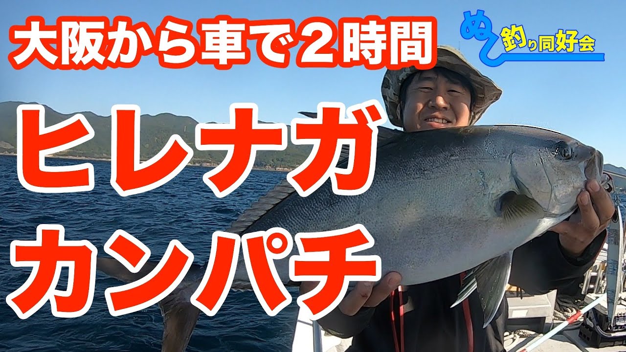 【ビッグファイト】大阪からすぐのカンパチジギング【ヒレナガ】