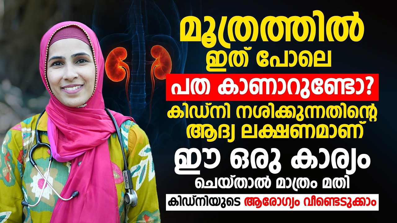 മൂത്രത്തിൽ പത കാണാറുണ്ടോ ? കിഡ്‌നി നശിക്കുന്നതിന്റെ ആദ്യ മുന്നറിയിപ്പാണിത് ! DR JUMANA HASEEN