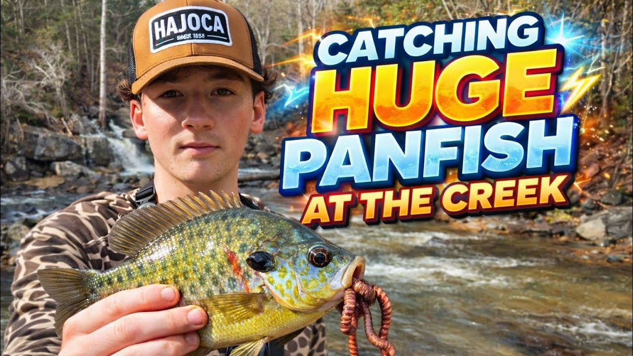 Fishing Chewacala Creek in Auburn Alabama for HUGE panfish (Live Bait)