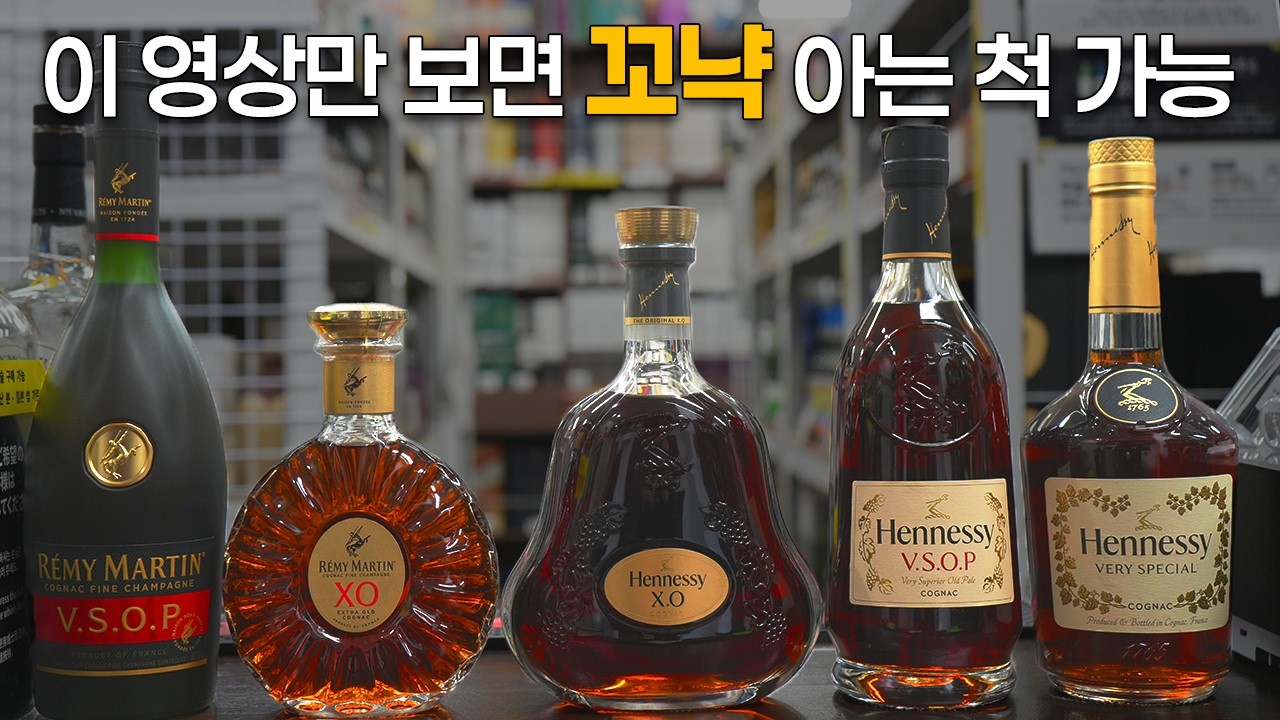 XO? VSOP? 꼬냑 궁금하다면 이 영상 하나로 끝