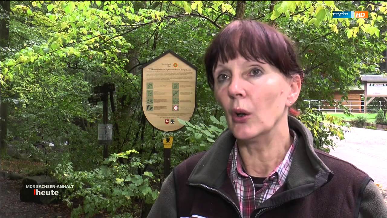 Waldinventur im Nationalpark Harz 2015