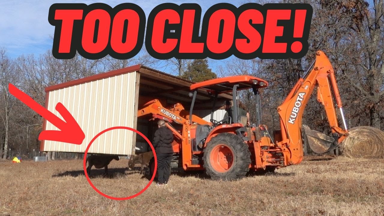 They Tried To Tell Me This Was DANGEROUS And It Wouldn’t Work | I Didn’t Listen!