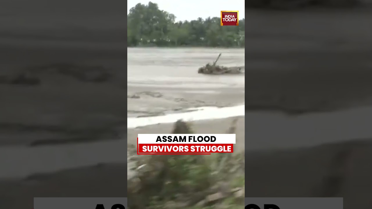 Assam Flood Survivors Struggle As Families Left Homeless, Forced Into Relief Shelters #assam