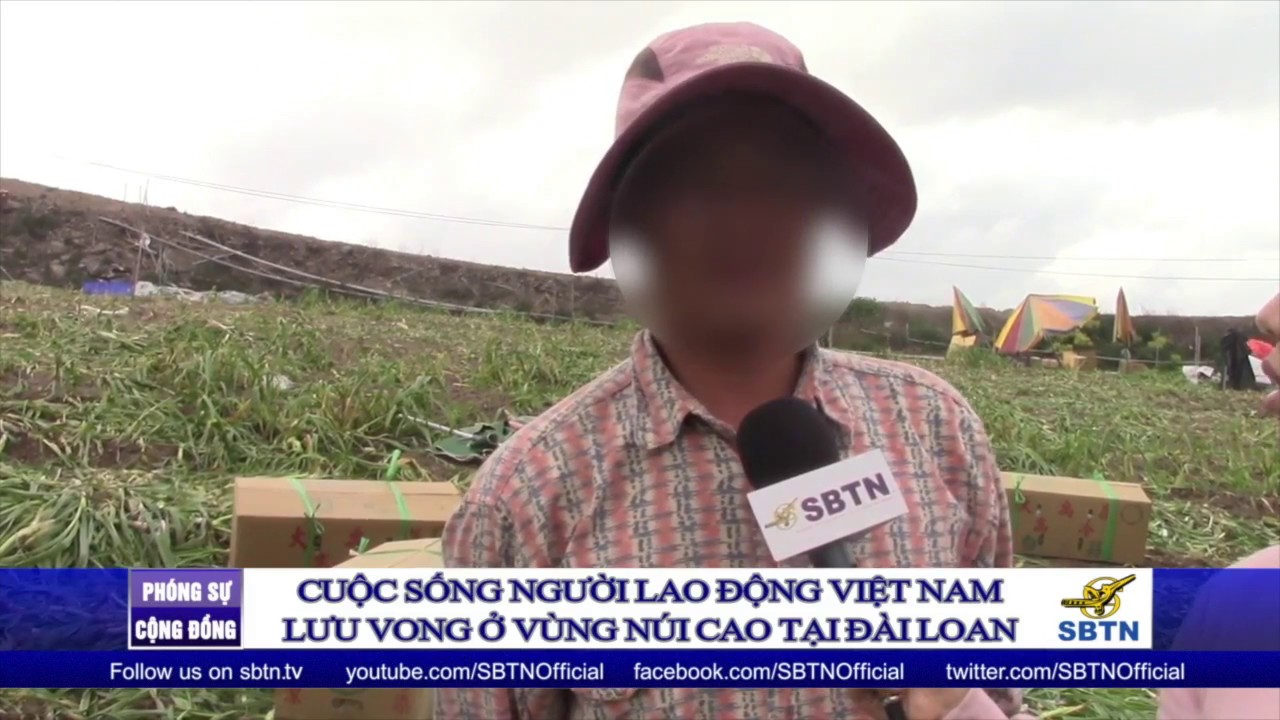 PHÓNG SỰ ĐẶC BIỆT: Cuộc sống cơ cực của người lao động VN lưu vong ở các vùng núi Đài Loan (Phần 1)