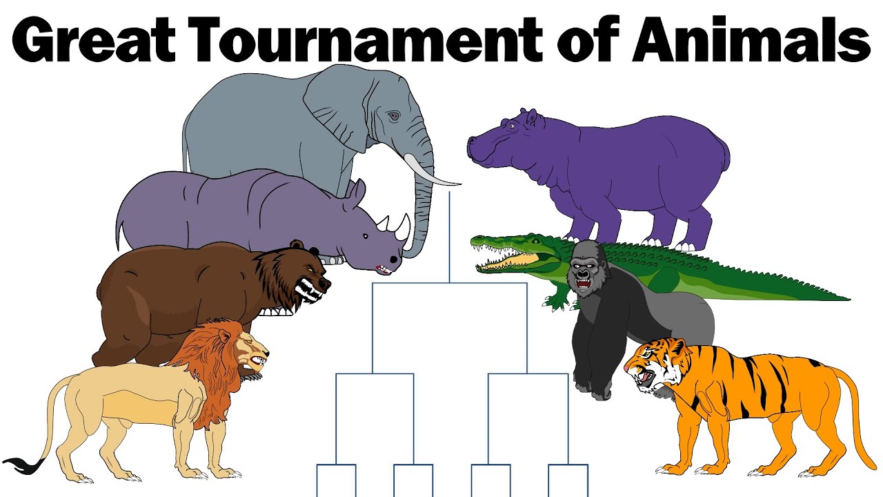 TOURNAMENT OF THE STRONGEST ANIMALS - ANIMATION