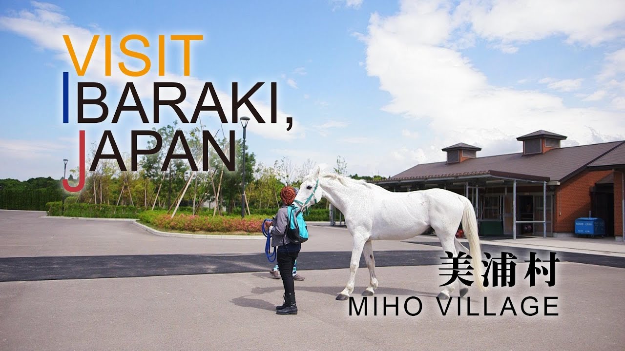 美浦村-MIHO VILLAGE- VISIT IBARAKI,JAPAN GUIDE