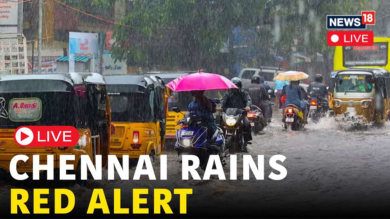 LIVE | Chennai Rains News Today | City Faces Flood-Like Situation, Schools Colleges Shut Down | N18L