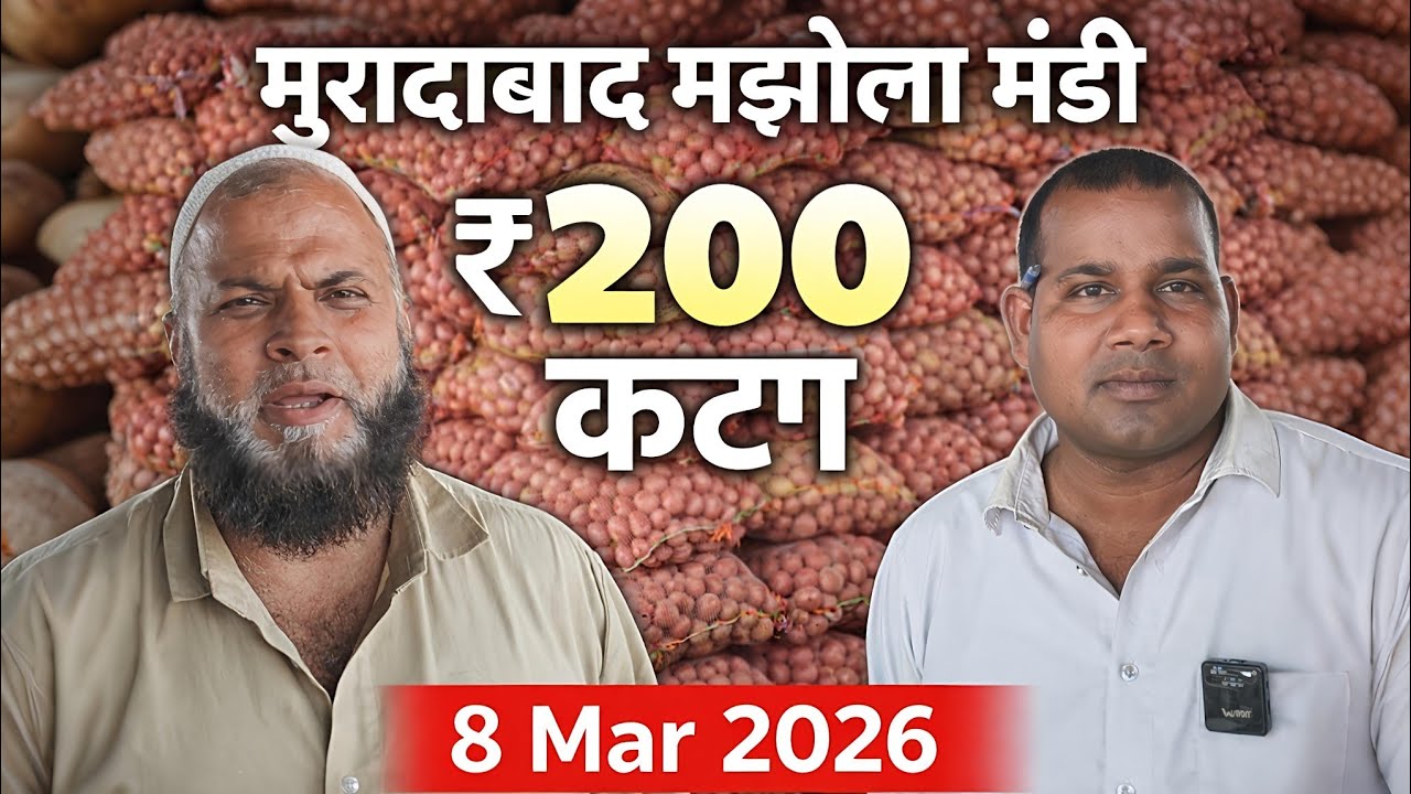 Aalu ₹200 Katta 😲 | मुरादाबाद मझोला मंडी आज का ताज़ा भाव | 8 Mar 2026 #mandibhav #viral #video 