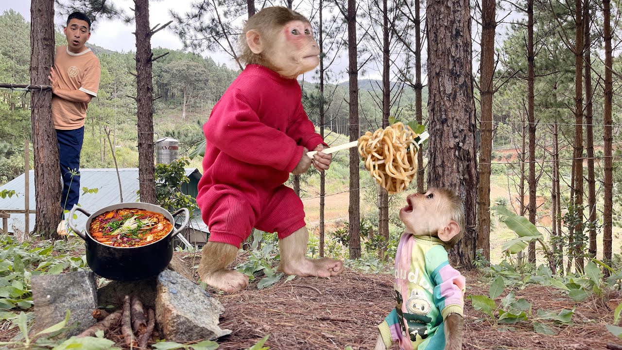 So funny, Smart monkey Max shows cook skills | dad laugh non stop 🙈🙊
