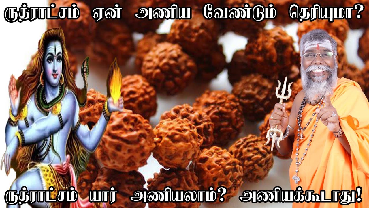 ருத்ராட்சம் யாரெல்லாம் அணியலாம் | Who should wear rudraksha? Ruthratcham malai benefits in tamil