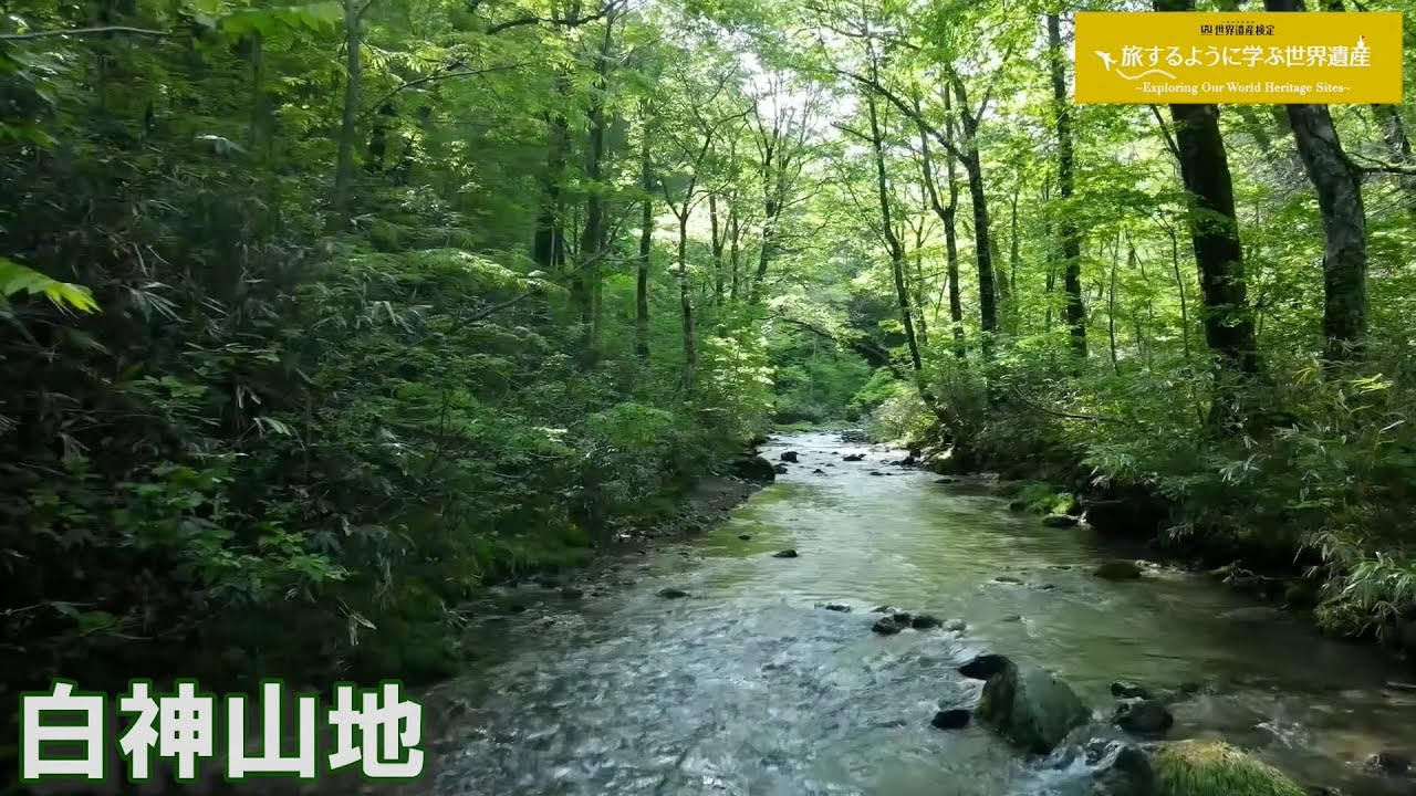 旅するように学ぶ世界遺産（短縮版）『白神山地』