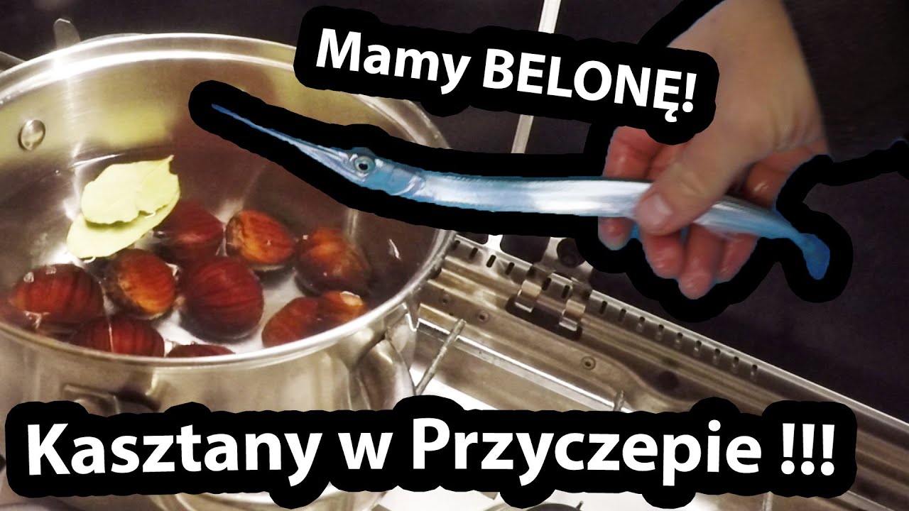 Jadalne KASZTANY w Przyczepie Kempingowej !!! - Złowiliśmy DŁUGĄ Rybę, INTERNET w GRECJI (Vlog #517)