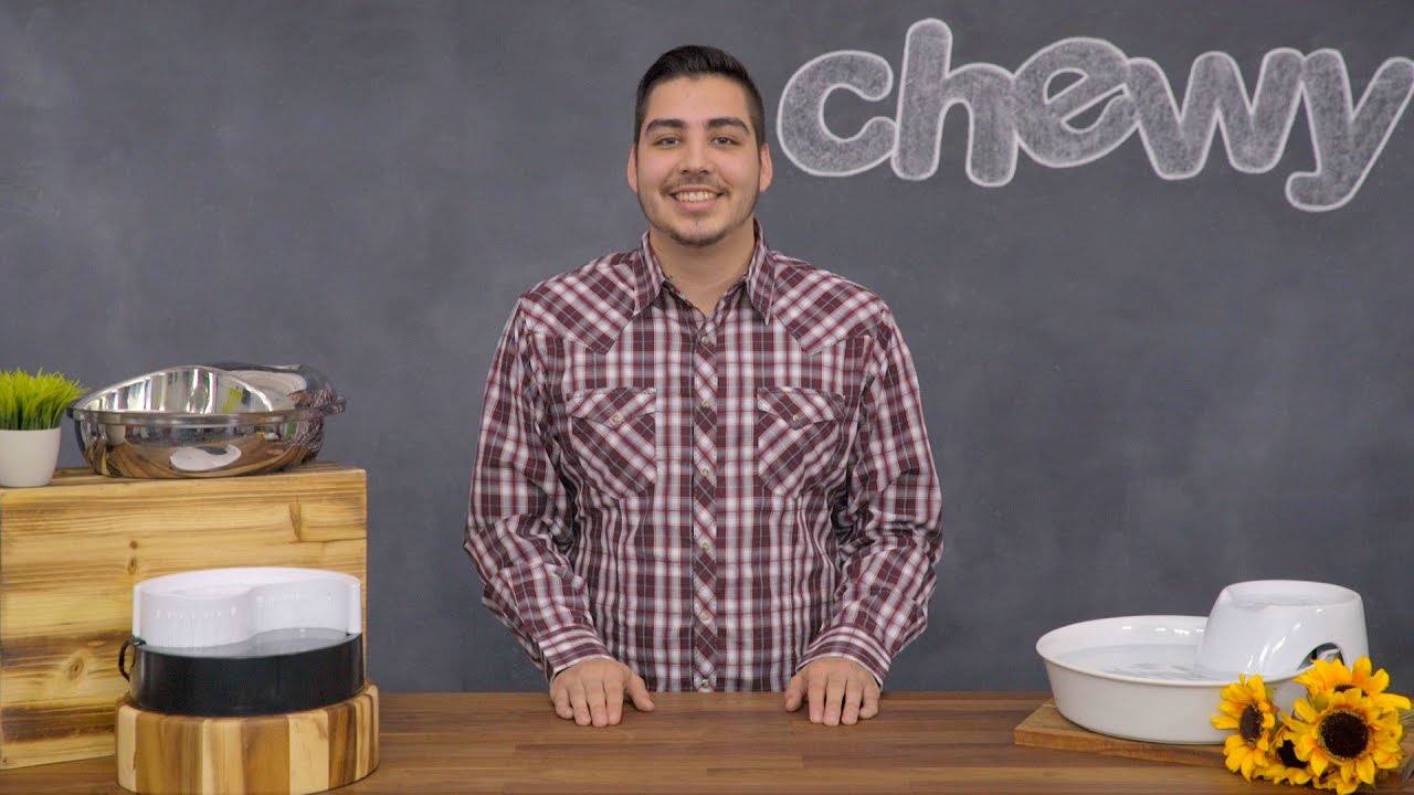 Pioneer Pet Drinking Fountains | Chewy
