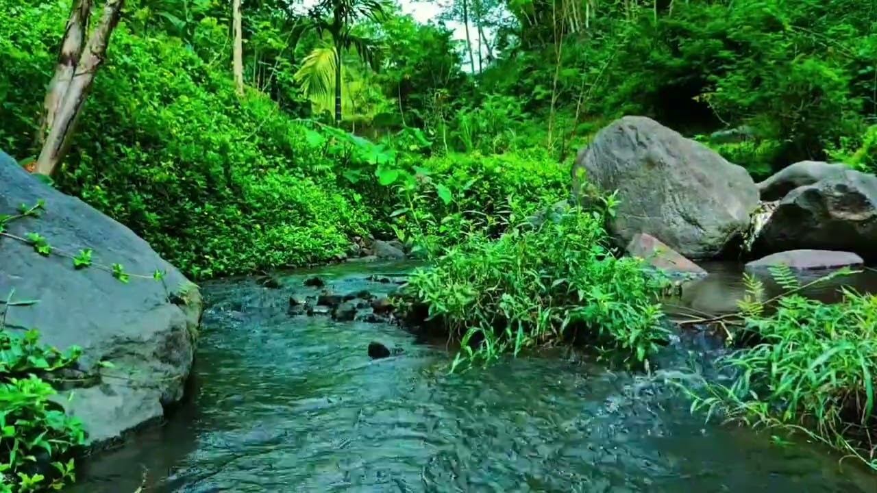 Flowing River Sounds for Peaceful Sleep and Meditation – Gentle Nature Ambience to Calm