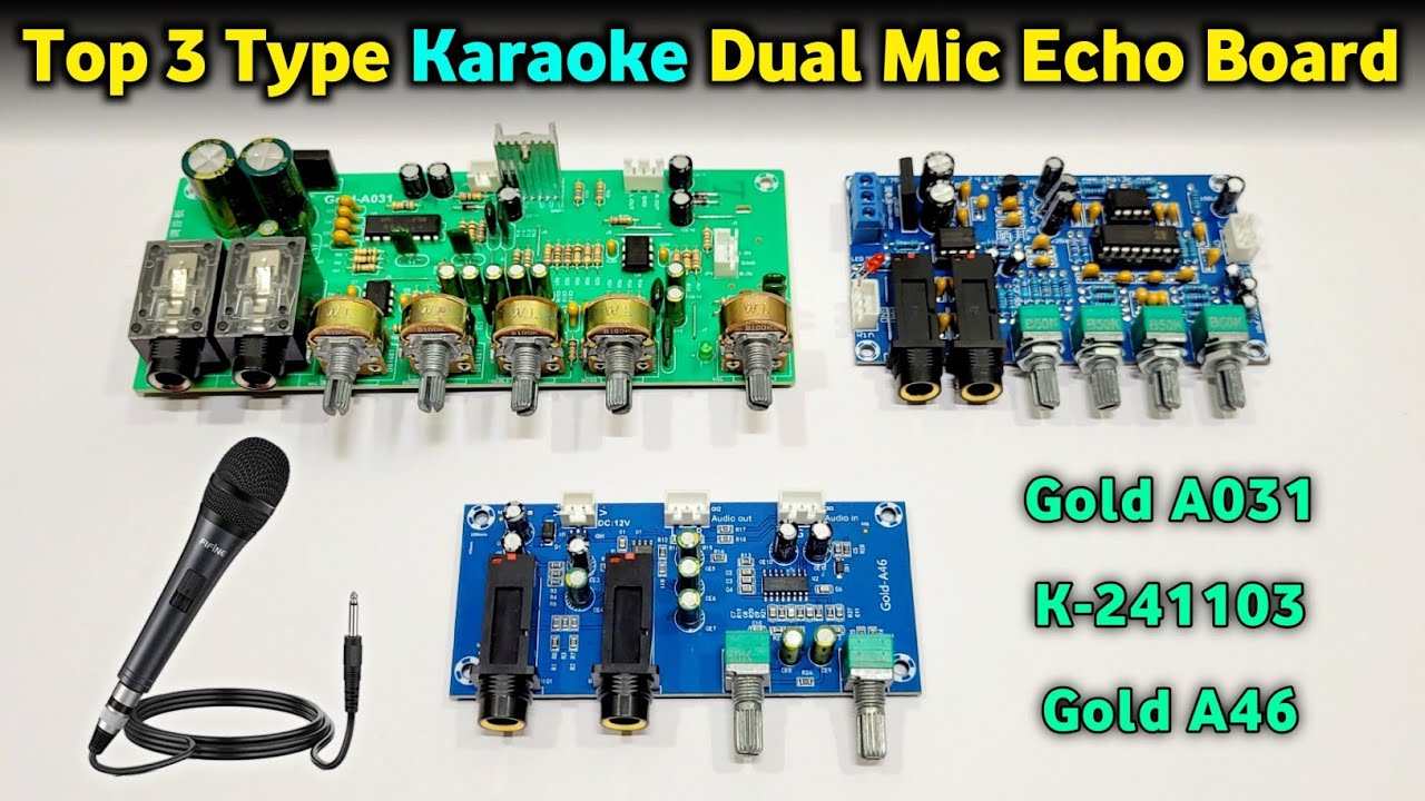 Top New 3 Type Karaoke Dual Mic Echo Board | Gold A031 • K-241103 • Gold A46 | You Like Electronic 