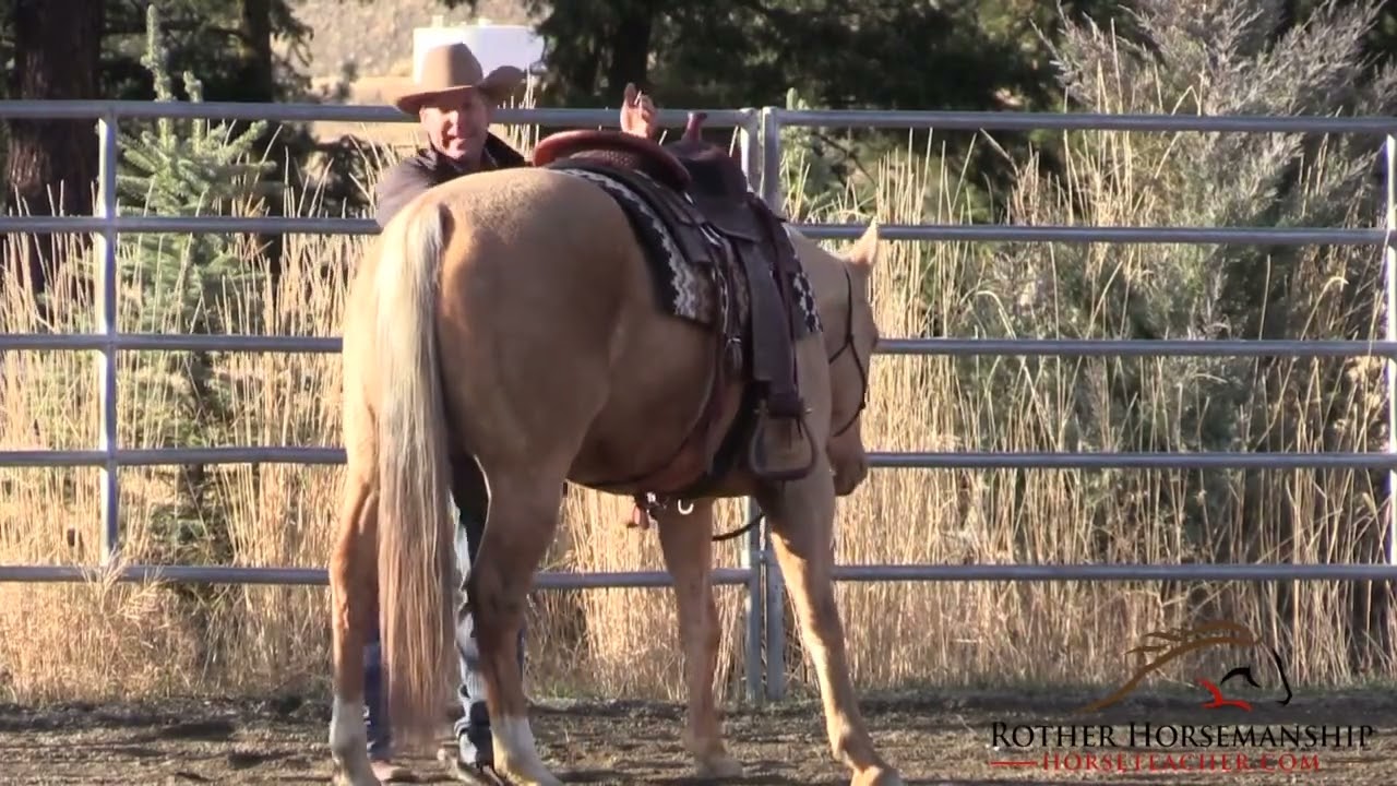 Horse Training Tips: Why Allowing Mistakes Boosts Learning #HorseTraining #TipsTuesday