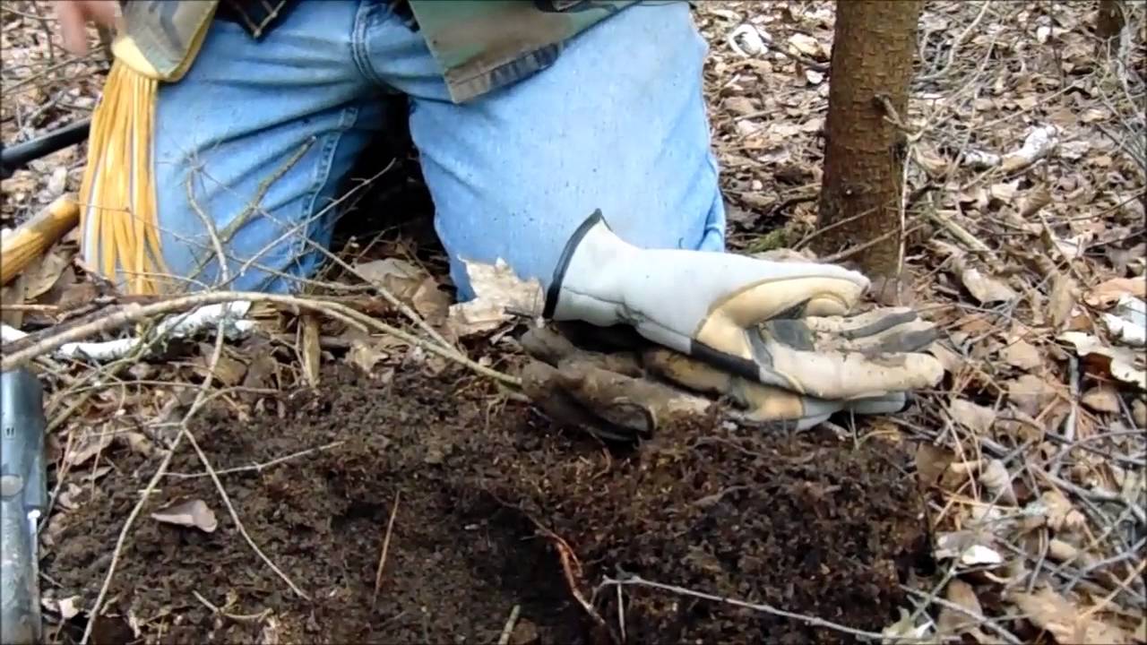 Chaga Mushrooms & 5 Archaic Copper Artifacts Found Metal Detecting