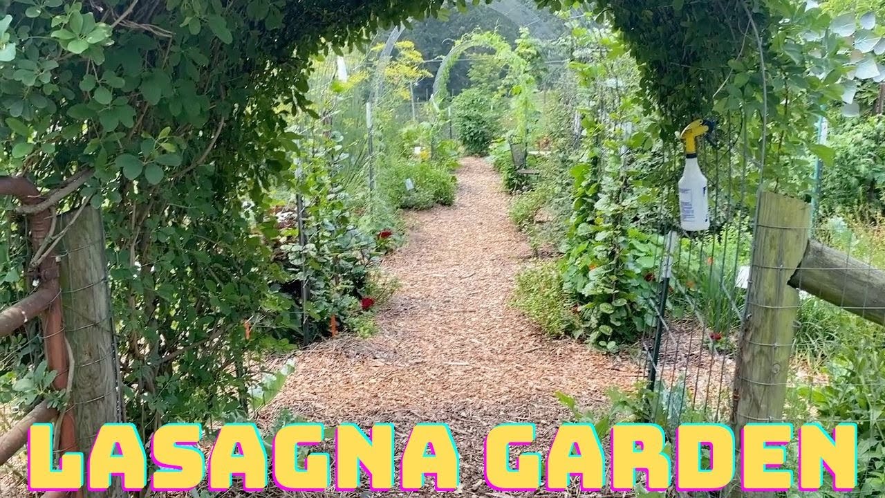 Perennial Sheet Mulch Garden Summer 2023 Update