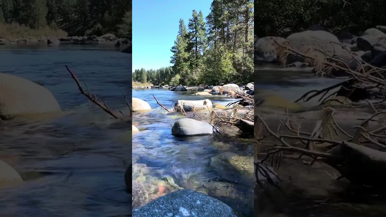 Exploring Sierra Foothills: Lessons the Woods | Nature's Wisdom Unveiled