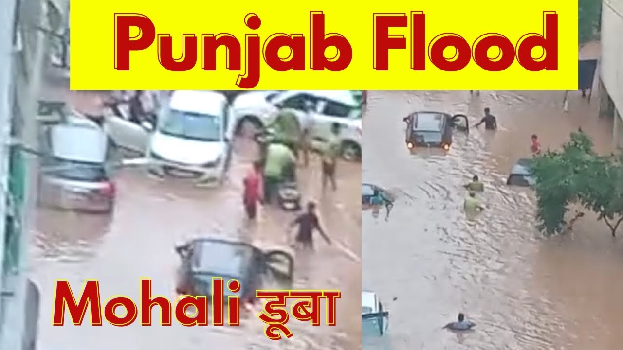 Punjab Flood : Mohali पानी में डूबी | Heavy Rain | Punjab weather Today | Mohali News update