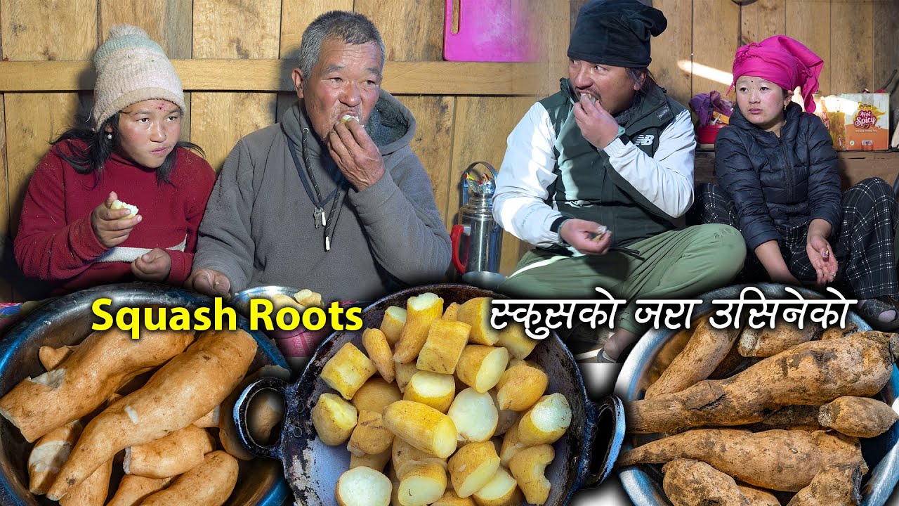 Squash Roots Cooking and Eating at my house || Organic Roots digging || New Nepali Village life vlog