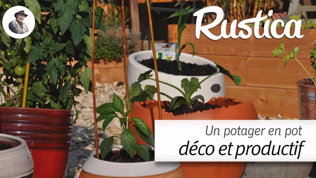 Un potager en pot décoratif et productif au balcon ou dans une cour