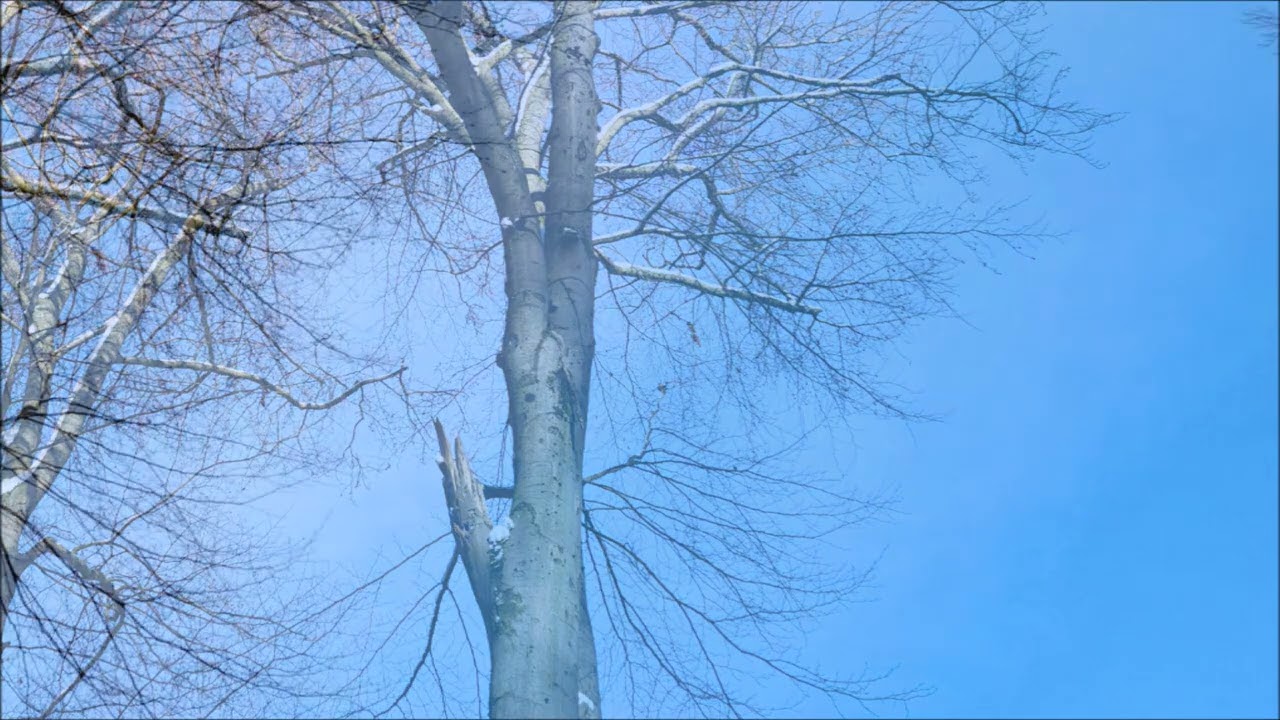 Winterspaziergang Beleke 2