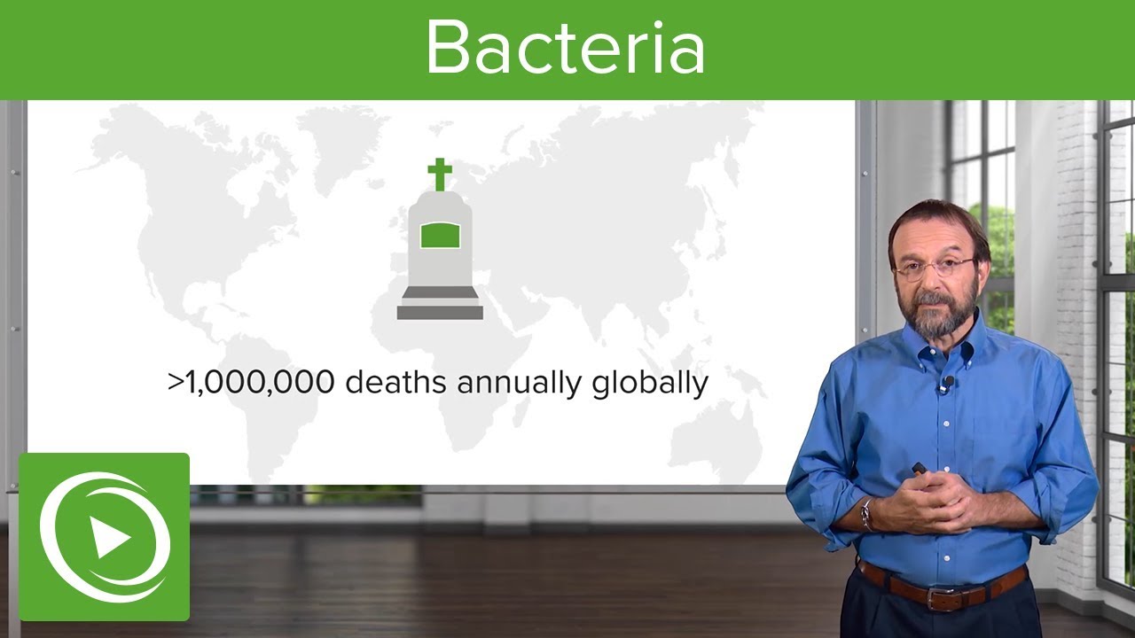 Bacteria &ndash; Microbiology | Lecturio