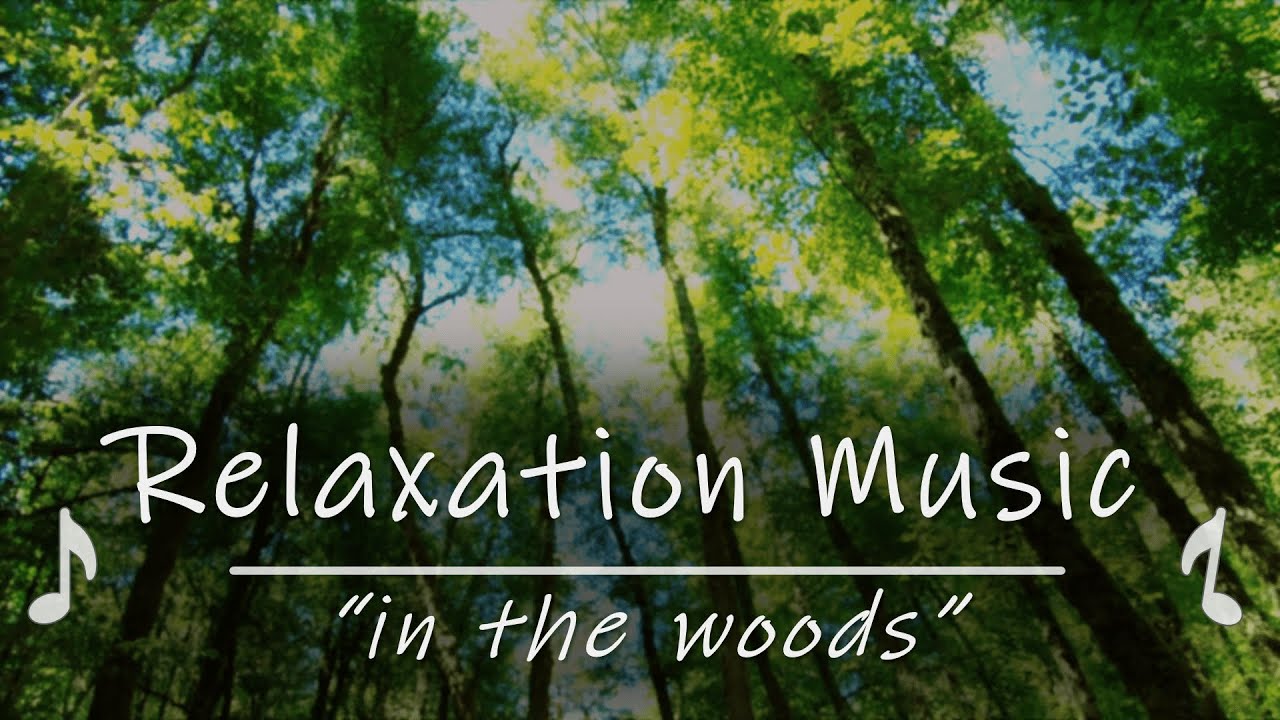 Relaxing Music | Nature